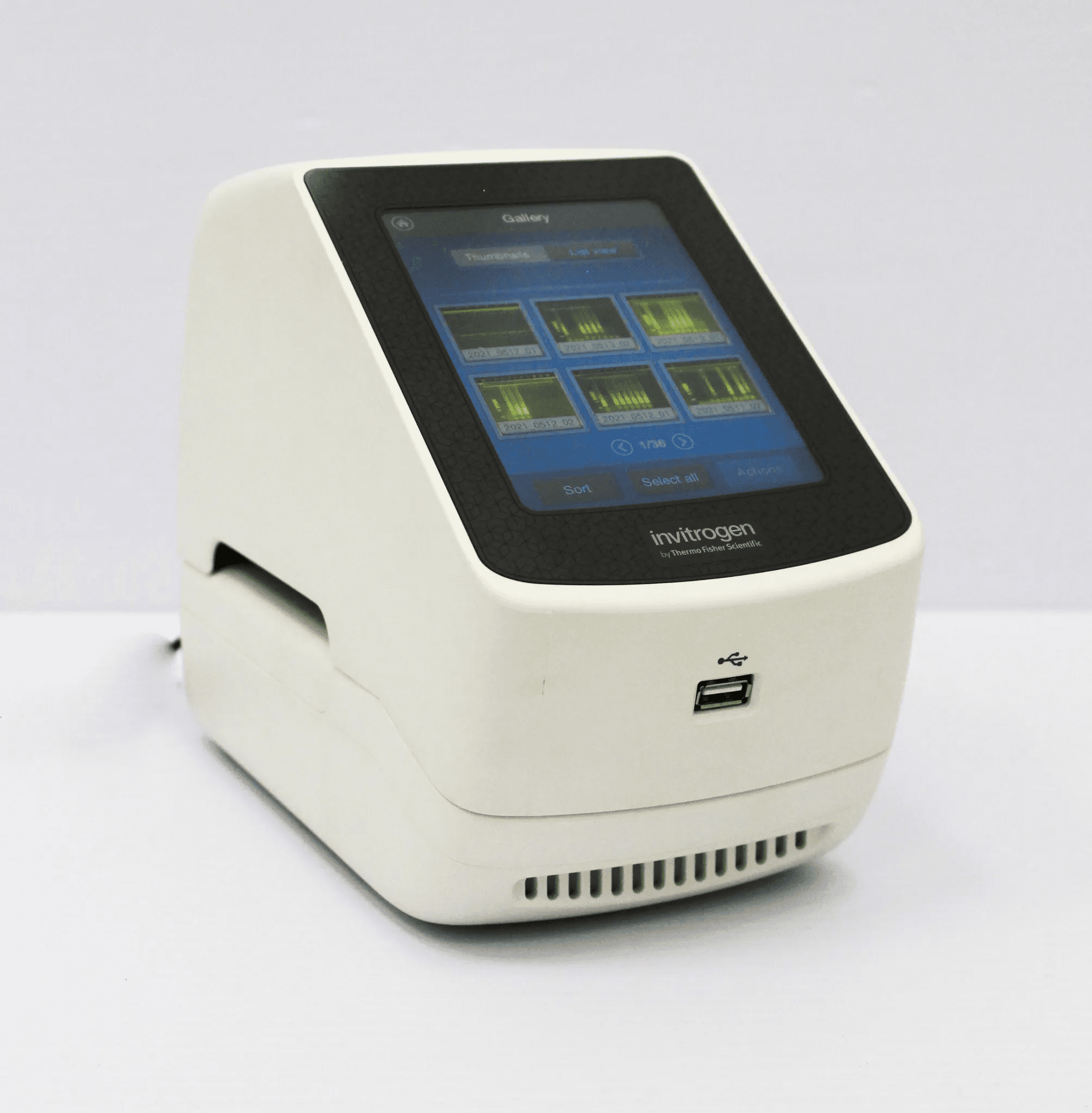 Gel Electrophoresis System